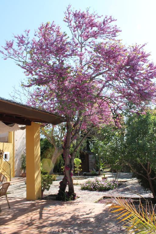 Agroturismo Son Estrany Llucmajor Kültér fotó